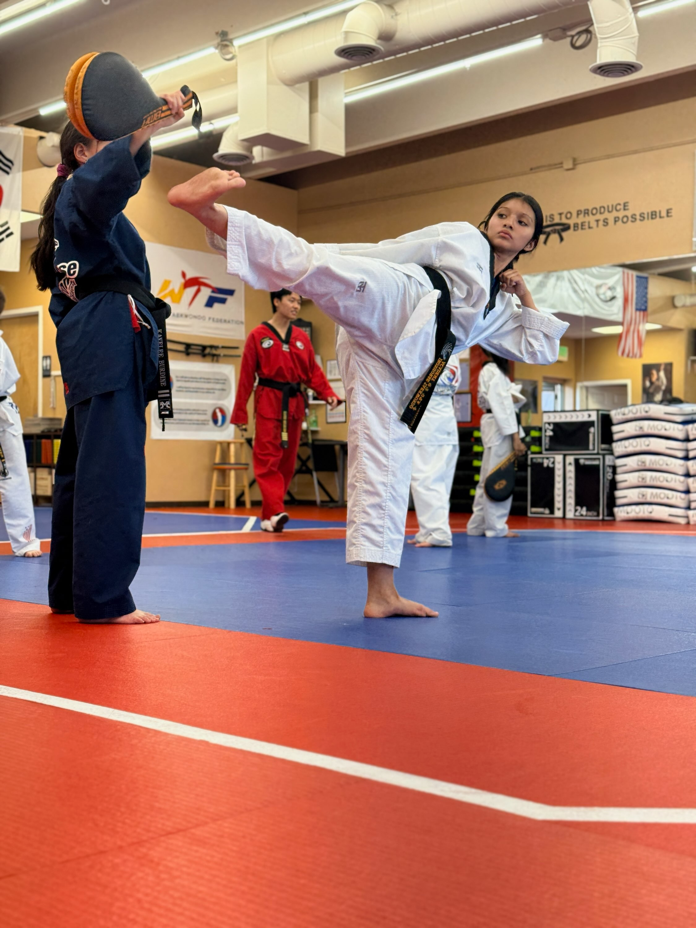 Teen/Adult Taekwondo